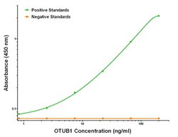 OTUB1 Mouse anti-Human, Clone: OTI1A6, liquid, TrueMAB 100 &mu;g; Unconjugated:Antibodies,