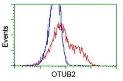OTUB2 Monoclonal Antibody (OTI2B2), TrueMAB , OriGene 100 &mu;L; Unconjugated:Antibodies,