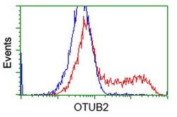 OTUB2 Mouse anti-Canine, Human, Rat, Clone: OTI11B3, lyophilized, TrueMAB