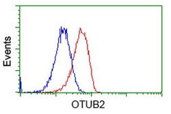 OTUB2 Mouse anti-Human, Clone: OTI6C7, lyophilized, TrueMAB 100 &mu;g;