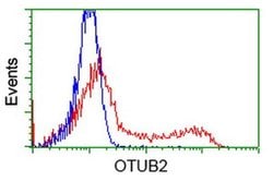 OTUB2 Monoclonal Antibody (OTI2E5), TrueMAB , OriGene 30 &mu;L; Unconjugated:Antibodies,