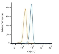 Invitrogen Cripto Polyclonal Antibody 100 &mu;L | Buy Online | Invitrogen&trade; | Fisher Scientific