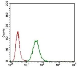 Invitrogen LYVE1 Polyclonal Antibody 100 &mu;L; Unconjugated:Antibodies,