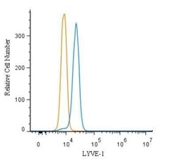 Invitrogen LYVE1 Polyclonal Antibody 100 &mu;L; Unconjugated:Antibodies,