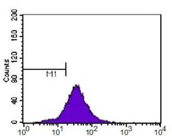 Invitrogen p14ARF Polyclonal Antibody 100 &mu;L; Unconjugated:Antibodies,