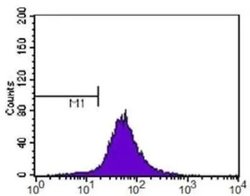 Invitrogen ABCA1 Polyclonal Antibody 100 μL; Unconjugated:Antibodies,