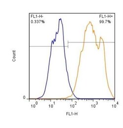 Invitrogen PSMD10 Polyclonal Antibody 100 &mu;L | Buy Online | Invitrogen&trade; | Fisher Scientific