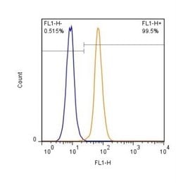 Invitrogen HP1 alpha Polyclonal Antibody 100 &mu;L; Unconjugated:Antibodies,