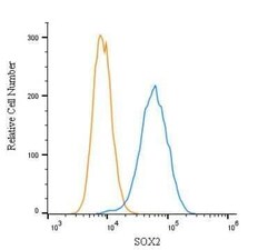 Invitrogen SOX2 Polyclonal Antibody 100 &mu;L | Buy Online | Invitrogen&trade; | Fisher Scientific