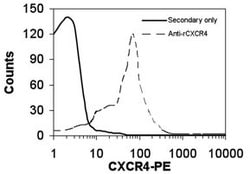 Invitrogen CXCR4 Polyclonal Antibody 50 &mu;g; Unconjugated:Antibodies,