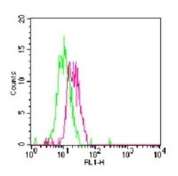 Invitrogen TLR7 Polyclonal Antibody 50 &mu;g | Buy Online | Invitrogen&trade; | Fisher Scientific