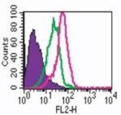 Invitrogen TLR7 Polyclonal Antibody 50 &mu;g | Buy Online | Invitrogen&trade; | Fisher Scientific