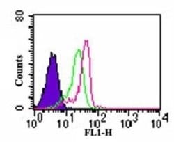 Invitrogen TLR7 Polyclonal Antibody 50 &mu;g | Buy Online | Invitrogen&trade; | Fisher Scientific