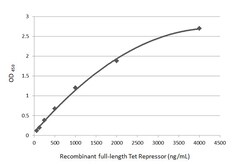 Invitrogen Tet Repressor Polyclonal Antibody 100 &mu;L; Unconjugated:Antikörper