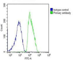 Invitrogen MCK10 Polyclonal Antibody 400 &mu;L; Unconjugated:Antibodies,