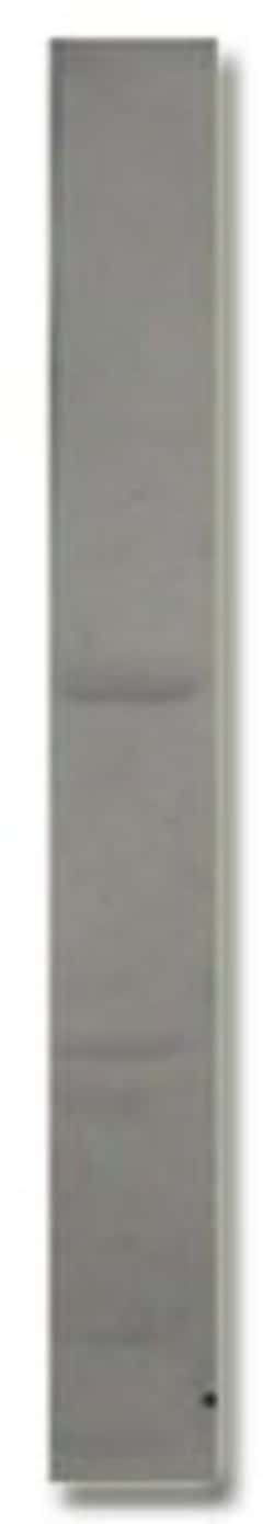 Invitrogen PDE4D3 Polyclonal Antibody 100 &mu;g; Unconjugated:Antibodies,