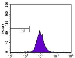 Invitrogen SR-BI/SR-BII Polyclonal Antibody 100 &mu;L; Unconjugated:Antibodies,