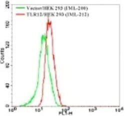 Invitrogen TLR12 Polyclonal Antibody 100 &mu;g; Unconjugated:Antibodies,