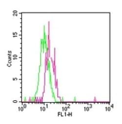 Invitrogen TLR12 Polyclonal Antibody 100 &mu;g; Unconjugated:Antibodies,