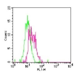 Invitrogen TLR11 Polyclonal Antibody 100 &mu;g; Unconjugated:Antibodies,