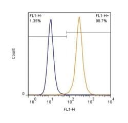 Invitrogen Lamin A/C Polyclonal Antibody 200 &mu;L; Unconjugated:Antibodies,