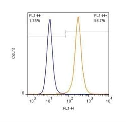 Invitrogen Lamin A/C Polyclonal Antibody 200 &mu;L | Buy Online | Invitrogen&trade; | Fisher Scientific