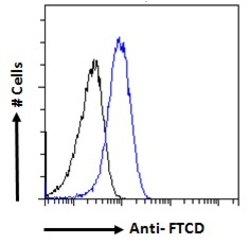 Invitrogen Golgi protein 58k Polyclonal Antibody 100 &mu;g; Unconjugated:Antibodies,