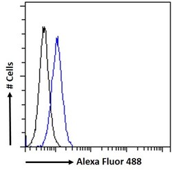 Invitrogen AKT3 Polyclonal Antibody 100 &mu;g; Unconjugated:Antibodies,