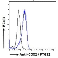 Invitrogen COX2 Polyclonal Antibody 100 &mu;g; Unconjugated:Antibodies,