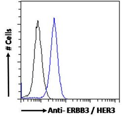 Invitrogen ErbB3 Polyclonal Antibody 100 &mu;g; Unconjugated:Antibodies,