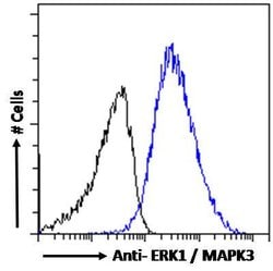 Invitrogen ERK1 Polyclonal Antibody 100 &mu;g; Unconjugated:Antibodies,