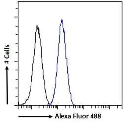 Invitrogen FOXG1 Polyclonal Antibody 100 &mu;g; Unconjugated:Antibodies,