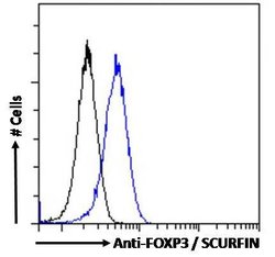 Invitrogen FOXP3 Polyclonal Antibody 100 &mu;g; Unconjugated:Antibodies,