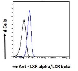LXR alpha/beta Polyclonal Antibody:Antibodies, Polyclonal
