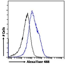 Invitrogen MyD88 Polyclonal Antibody 100 &mu;g; Unconjugated:Antibodies,