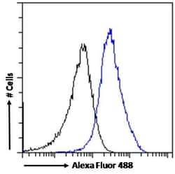 Invitrogen RANBP1 Polyclonal Antibody 100 &mu;g; Unconjugated:Antibodies,