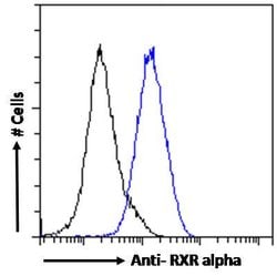 Invitrogen RXRA Polyclonal Antibody 100 &mu;g; Unconjugated:Antibodies,