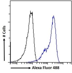 Invitrogen VDR Polyclonal Antibody 100 &mu;g; Unconjugated:Antibodies,