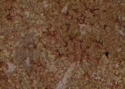 Invitrogen Phospho-IRE1 alpha (Ser724) Polyclonal Antibody 100 &mu;L; Unconjugated:Antibodies,