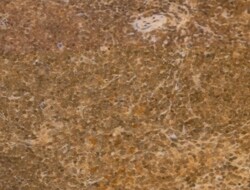Invitrogen CHP1 Polyclonal Antibody 100 &mu;L; Unconjugated:Antibodies,