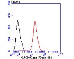 Invitrogen NOD3 Polyclonal Antibody 100 &mu;L; Unconjugated:Antibodies,