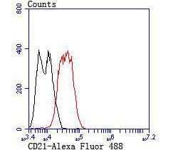 Thermo Scientific CD21 Polyclonal Antibody:Antibodies, Polyclonal