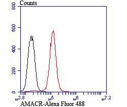 Invitrogen AMACR Polyclonal Antibody 100 μL; Unconjugated:Antibodies,