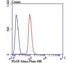 Thermo Scientific PGF Polyclonal Antibody:Antibodies, Polyclonal