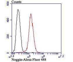 Invitrogen Noggin Polyclonal Antibody 100 &mu;L; Unconjugated:Antibodies,