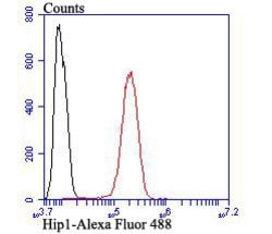 Invitrogen HIP1 Polyclonal Antibody 100 μL; Unconjugated:Antibodies,