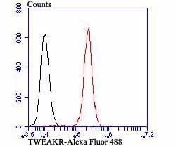 Invitrogen CD266 (TWEAK Receptor) Polyclonal Antibody 100 &mu;L; Unconjugated:Antikörper