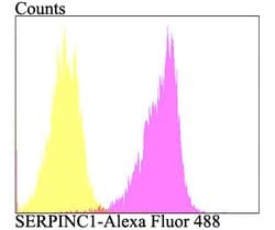 Invitrogen SERPINC1 Polyclonal Antibody 100 &mu;L; Unconjugated:Antibodies,