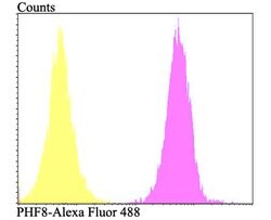 Invitrogen PHF8 Polyclonal Antibody 100 μL; Unconjugated:Antibodies,