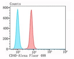 Invitrogen CD40 Polyclonal Antibody 100 &mu;L; Unconjugated:Antibodies,